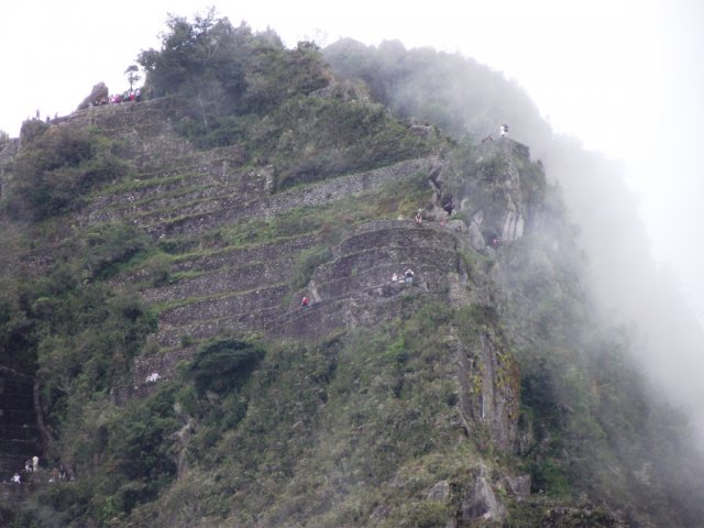 Macchu Picchu 029